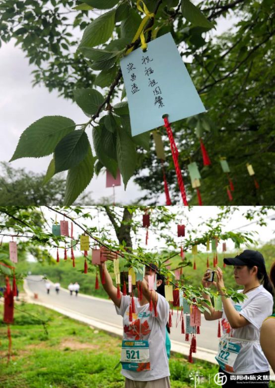 悦跑红枫，逐梦“清”春！900余名跑者赴红枫湖景区生态之约