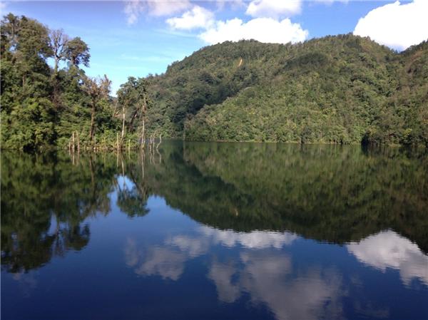 云南绿春：绿水青山间共绘民族团结进步新画卷